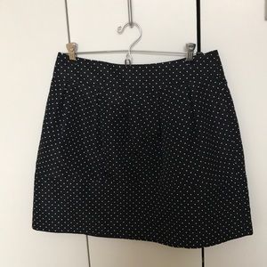 Zara Polka Dot Skirt